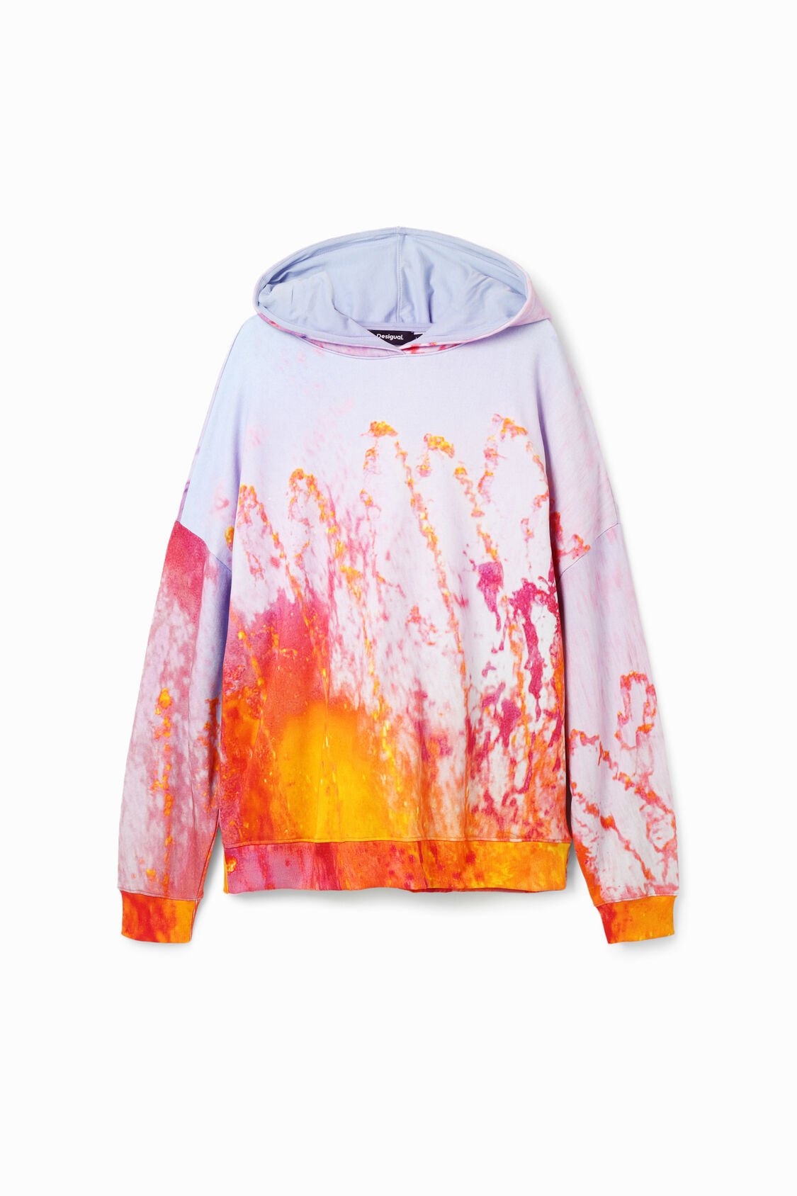 Desigual - Photographic Hoodie